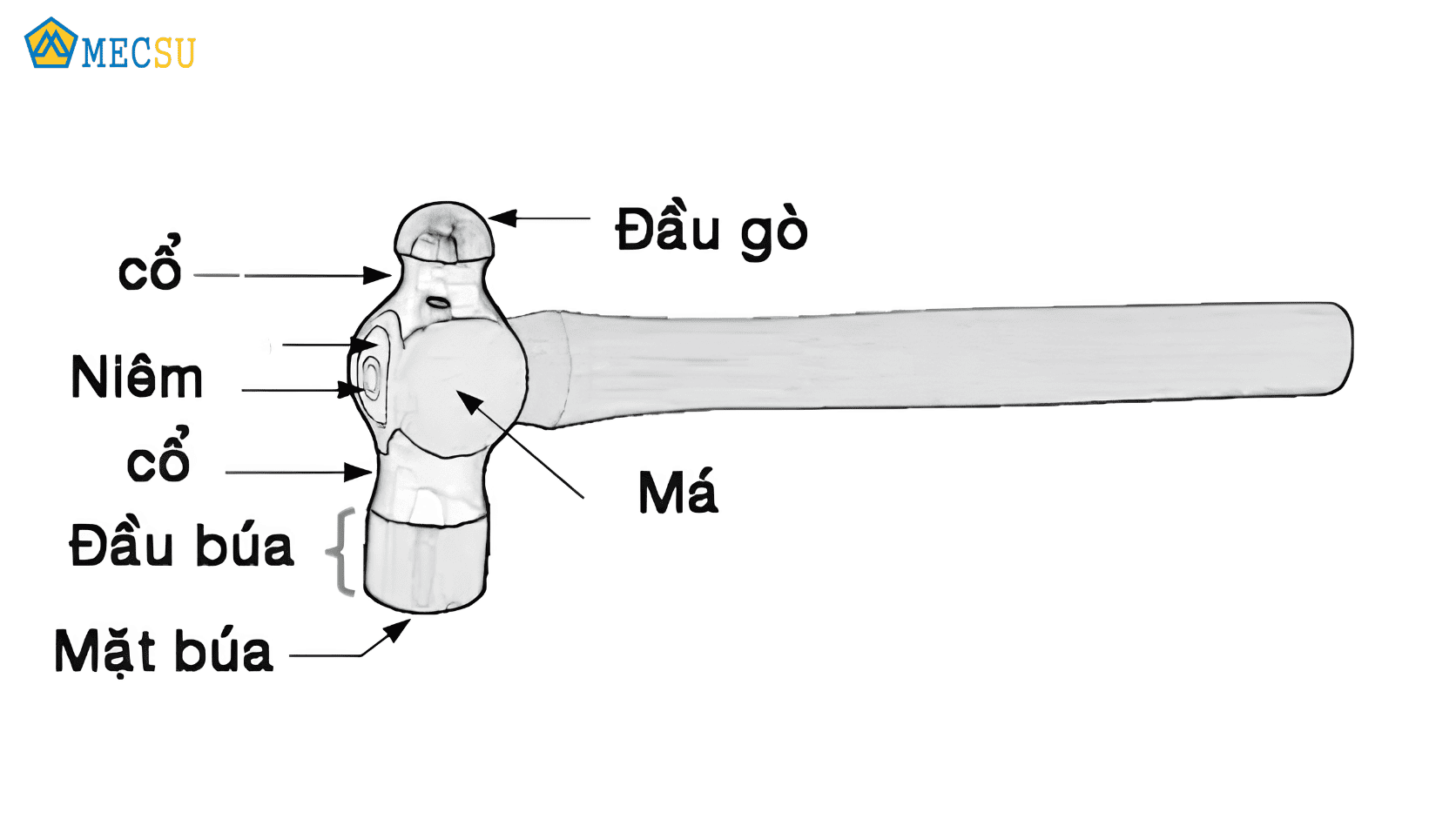 Cấu tạo chi tiết các bộ phận trên búa đầu tròn